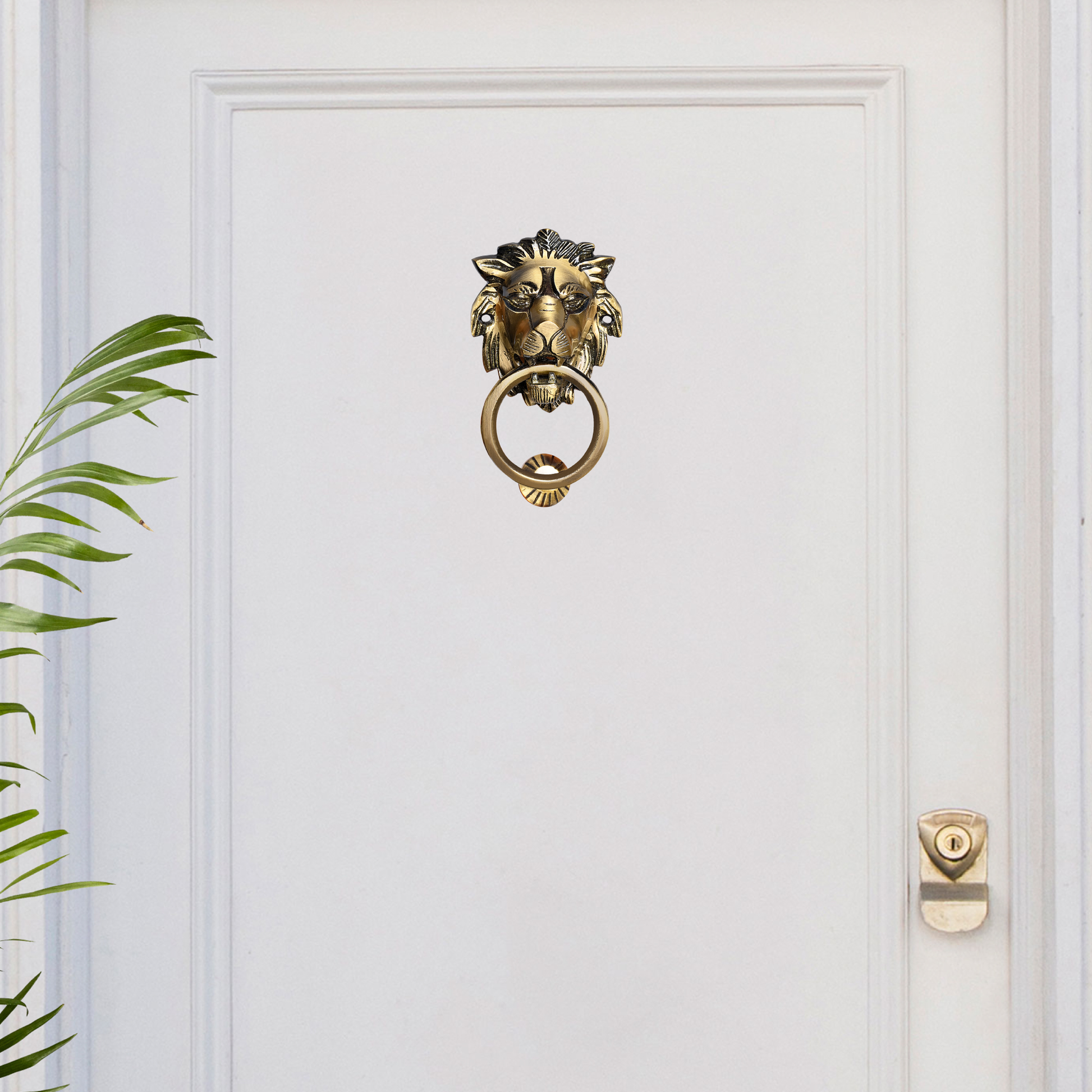 lion face brass door knocker