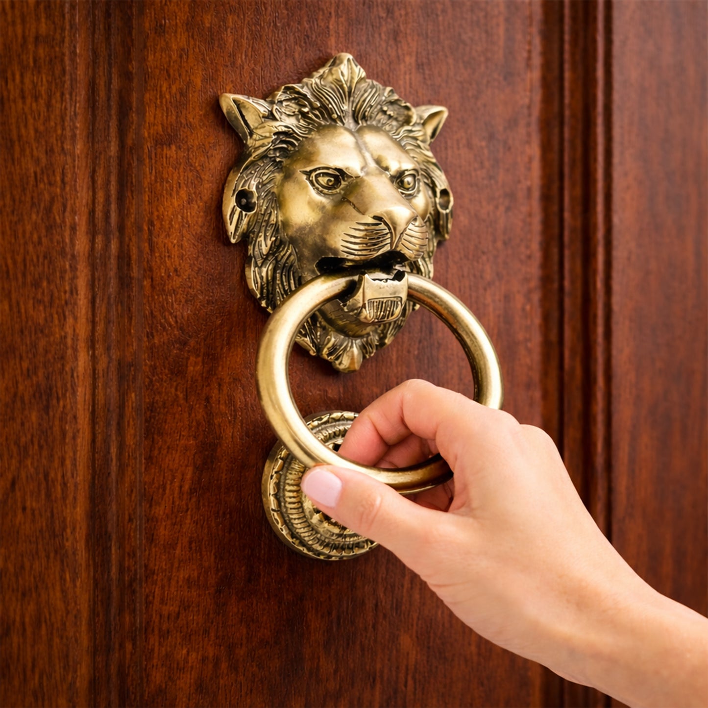 Lion Guardian Brass Door Knocker with Ring Handle for Main Door | The Indian Aura