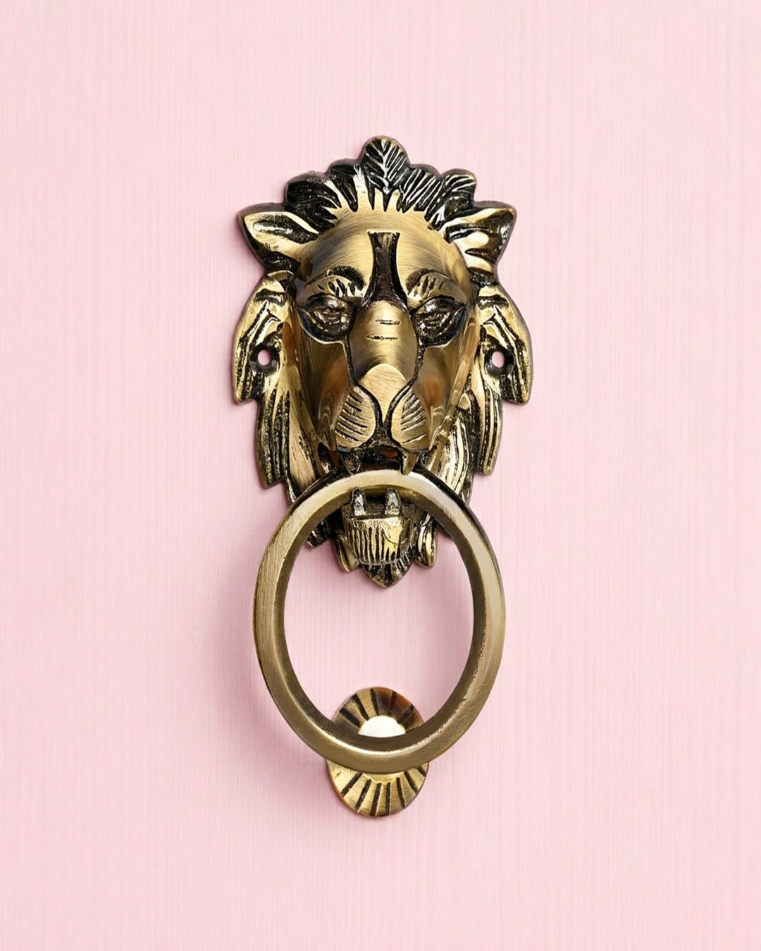 Brass lion head door knocker on a pink background